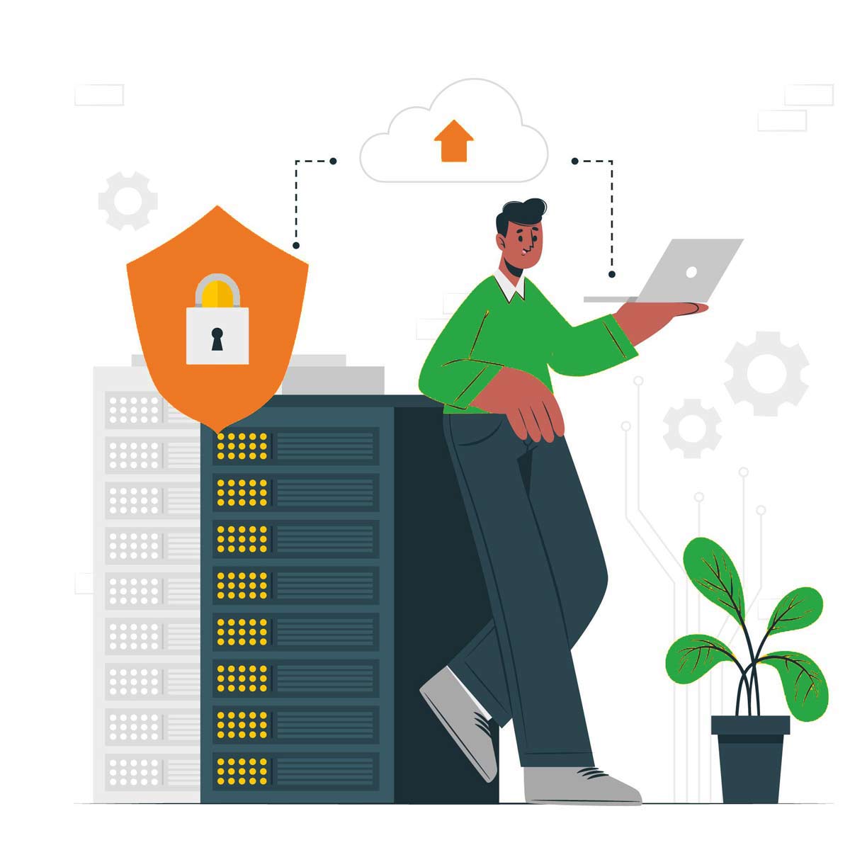 cheap web hosting india